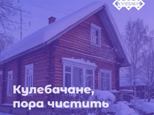 Согласно прогнозу погоды, начинается оттепель. Это значит, что снег на крышах наших домов, которого уже накопилось немало, станет тяжелее